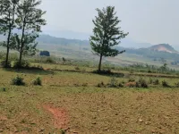  Agricultural Land for Sale in Araku Valley, Visakhapatnam