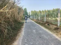  Agricultural Land for Sale in Banga, Shahid Bhagat Singh Nagar