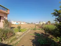  Agricultural Land for Sale in Suman Nagar, Haridwar
