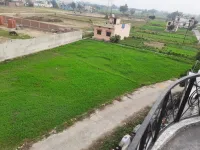  Agricultural Land for Sale in Ramnagar, Nainital