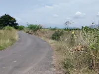  Agricultural Land for Sale in Thuraiyur, Tiruchirappalli