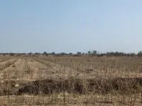  Agricultural Land for Sale in Chandur, Amravati