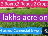  Agricultural Land for Sale in Adoni, Kurnool