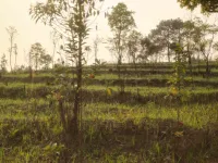  Residential Plot for Sale in Nongpoh, Ri-Bhoi