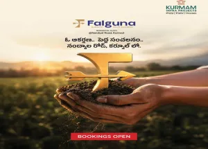 Residential Plot for Sale in Nannur, Kurnool