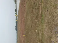  Residential Plot for Sale in Chengalpet, Chennai