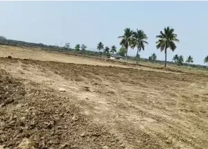 Residential Plot for Sale in Bhogapuram, Visakhapatnam