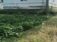  Residential Plot for Sale in Tharamangalam, Salem