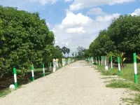  Agricultural Land for Sale in Ecr To Marakanam Road, Chennai