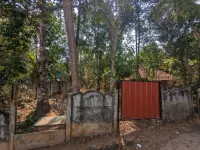  Residential Plot for Sale in Arimboor, Thrissur