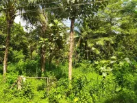  Commercial Land for Sale in Vellarakkad, Thrissur
