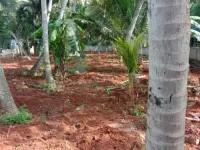 1 BHK Flat for Sale in Manavalakurichi, Kanyakumari