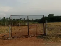  Agricultural Land for Sale in Allinagaram, Theni