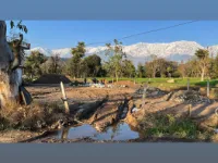  Residential Plot for Sale in Nurpur, Kangra