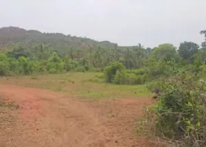 Agricultural Land for Sale in Airport Road, Bangalore
