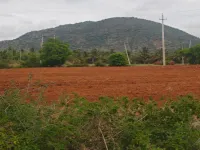  Agricultural Land for Sale in Austin Town, Bangalore