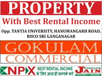  Commercial Land for Sale in Sangaria, Hanumangarh