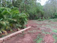  Residential Plot for Sale in Moira, North Goa
