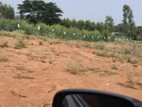  Agricultural Land for Sale in Anekal Road, Bangalore