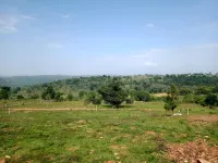  Agricultural Land for Sale in Denkanikottai, Hosur