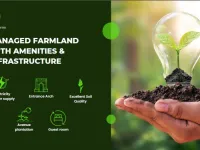  Agricultural Land for Sale in Thalli, Krishnagiri