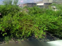  Residential Plot for Sale in Kishangarh, Ajmer