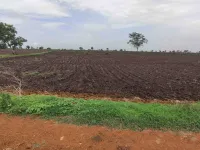  Agricultural Land for Sale in Dhamdha, Durg