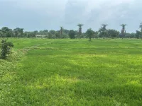  Agricultural Land for Sale in Shahpura, Dindori