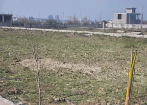 Residential Plot for Sale in Dhoom Manikpur, Greater Noida