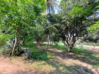  Agricultural Land for Sale in Ramanahalli, Mysore