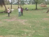  Residential Plot for Sale in Tanuku, West Godavari