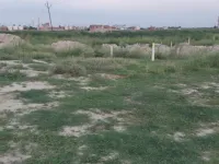  Residential Plot for Sale in Mabbi Belauna, Darbhanga