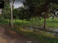  Agricultural Land for Sale in Teachers Colony, Tanuku, West Godavari