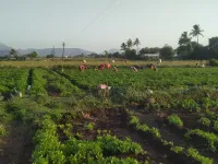  Agricultural Land for Sale in Konark Nagar, Nashik
