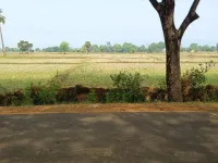  Agricultural Land for Sale in Kotananduru, East Godavari
