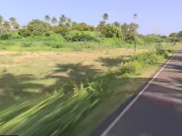  Industrial Land for Rent in Tenkasi, Tirunelveli