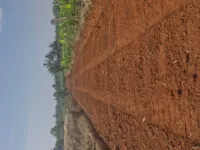 Agricultural Land for Sale in Varuna, Mysore