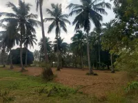 Agricultural Land for Sale in Marakkanam, Chennai