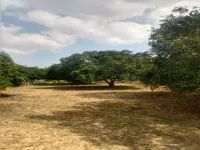 Agricultural Land for Sale in Marakkanam, Chennai