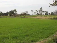 Agricultural Land for Sale in North Goa