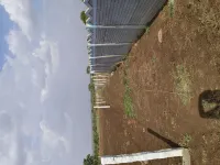  Agricultural Land for Sale in Pargi, Vikarabad