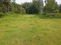  Residential Plot for Sale in Chandannagar, Six Mile, Guwahati