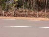  Commercial Land for Sale in Manjeshwar, Kasaragod