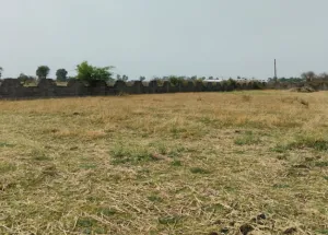 Industrial Land for Sale in Wada, Palghar