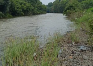 Agricultural Land for Sale in Karjat, Raigad