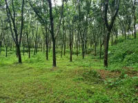  Agricultural Land for Sale in Kundapura, Udupi