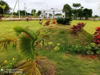  Residential Plot for Sale in Shadnagar, Hyderabad