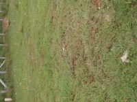 Residential Plot for Sale in Pallikonda, Vellore