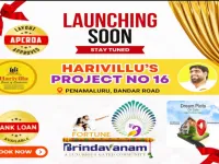 Residential Plot for Sale in Kankipadu, Vijayawada