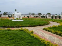  Residential Plot for Sale in Tiruchengode, Namakkal